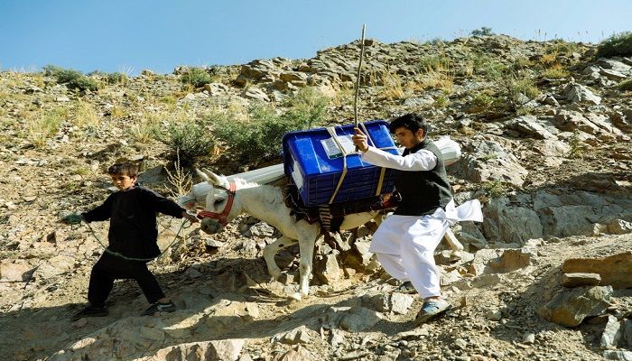 An Afghan man tries to control his donkey loaded with ballot boxes and other election material to be transported to polling stations which are not accessible by road in Shutul area of Panjshir province in Afghanistan on September 27, 2019. Photo: Reuters