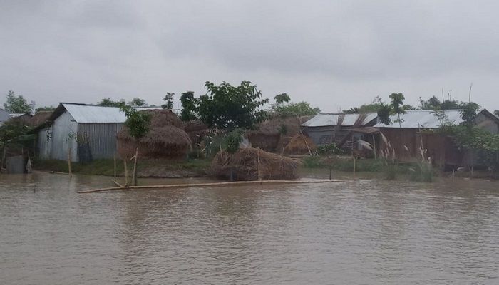 Padma, Mahananda water level rises, photo taken in Chapainawabganj. — UNB photo
