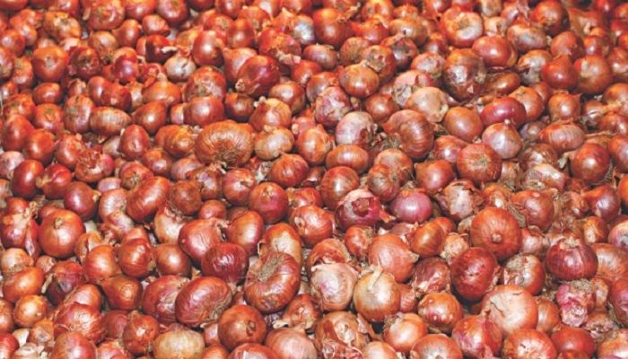 No sign of fall in onion, veg prices