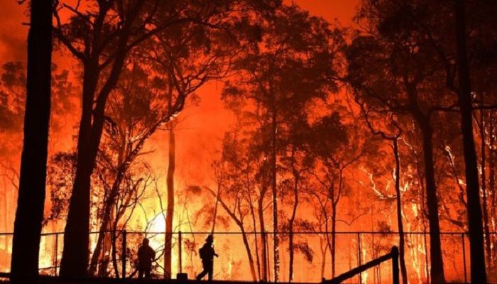 Fires continue to burn across New South Wales and Queensland
