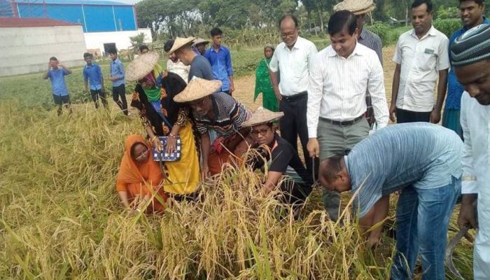  Success of Khulna Farmers 'Inspiration For All'