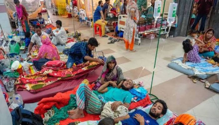 Over 1 Lakh Dengue Patients Hospitalised in 11 Months 