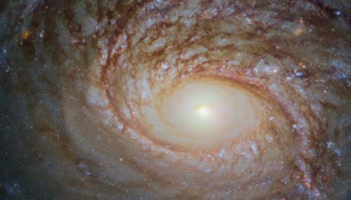 A galactic rival: This image taken by the Hubble telescope shows a spiral galaxy called NGC 772, which lies 130 million light-years away. NGC 772 has much in common with our own Milky Way galaxy. For instance, both the Milky Way and NGC 772 have small satellite galaxies, which closely orbit their parent galaxies. However, the two are also different in a few key ways. For example, NGC 772 lacks a central feature called a bar, which is built of gas and stars and is thought to help funnel material through the core of a galaxy - perhaps fuelling star formation.