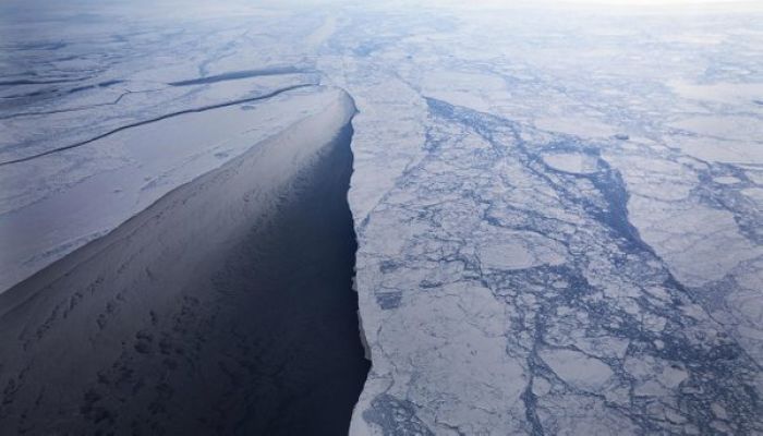 2019 Was Nearly, But Not Quite, the Worst Year for the Arctic