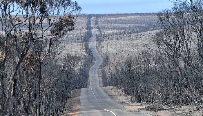 The same road after fires this month. Photo: BBC