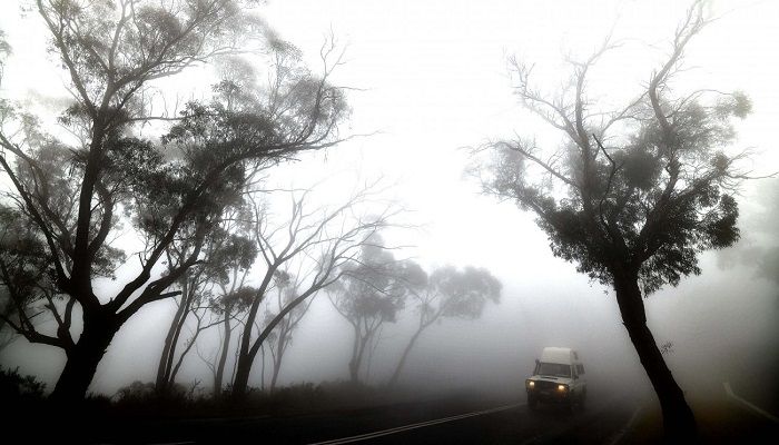  car makes its way through thick fog mixed with bushfire smoke in the Ruined Castle area of the Blue Mountains, some 75 kilometres from Sydney, on January 11, 2020. Massive bushfires in southeastern Australia have a "long way to go", authorities have warned, even as colder conditions brought some relief to exhausted firefighter and communities. Photo: AFP