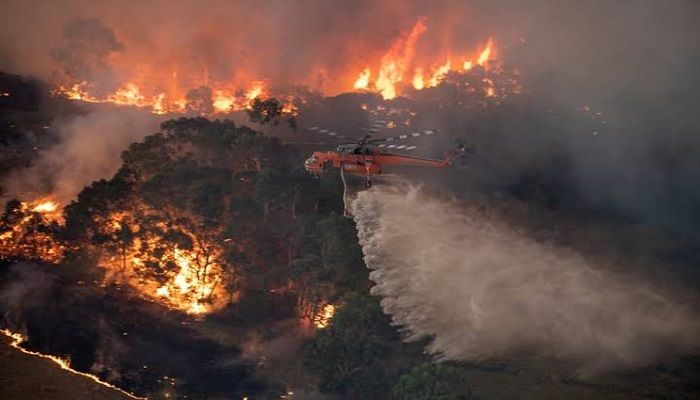 A firefighting helicopter tackles a bushfire near Bairnsdale in Victoria’s East Gippsland region, Australia. Photo: Collected