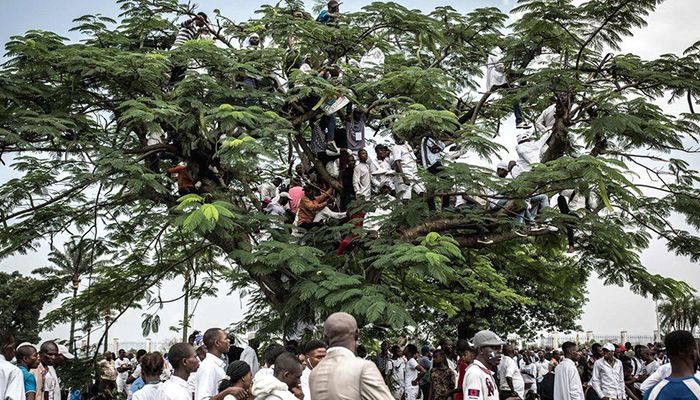 In the Democratic Republic of Congo's capital, Kinshasa, people climbed trees to watch opposition leader Felix Tshisekedi's presidential inauguration in January, following the first smooth transfer of power in the country's troubled history. Photo: BBC