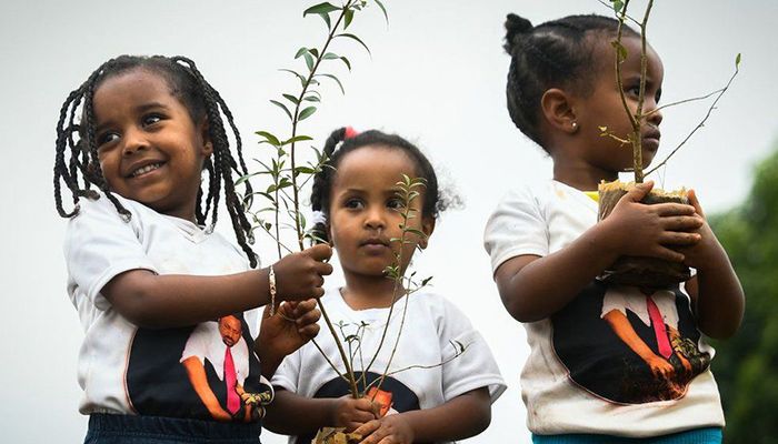 In July, Ethiopia's government launched a major reforestation programme to combat climate change - a move welcomed by environmentalists. The government said just more than 3.5 billion trees were planted in three months. Photo: BBC