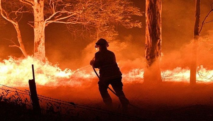 Fire crews are fighting to control the fires and trying to save a resident around Nowra city. Photo: BBC