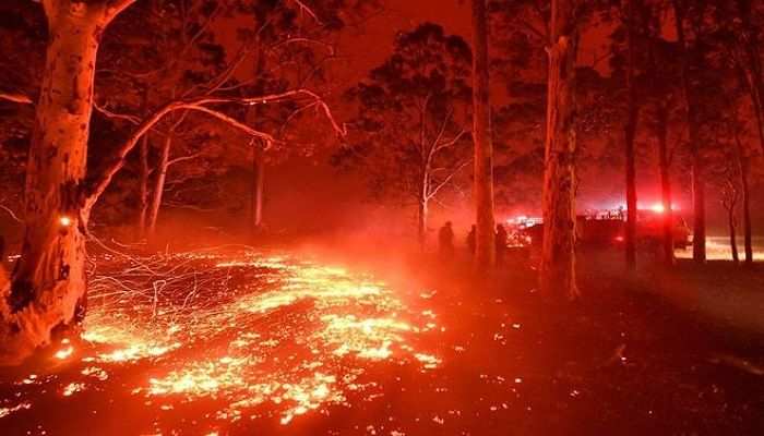 Fire crews are fighting to control the fires around Nowra city. Photo: BBC