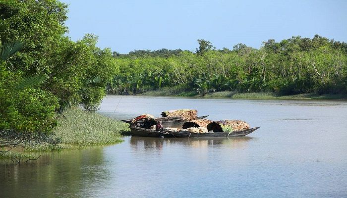 Govt Plans to Renovate Sundarbans to Boost Tourism