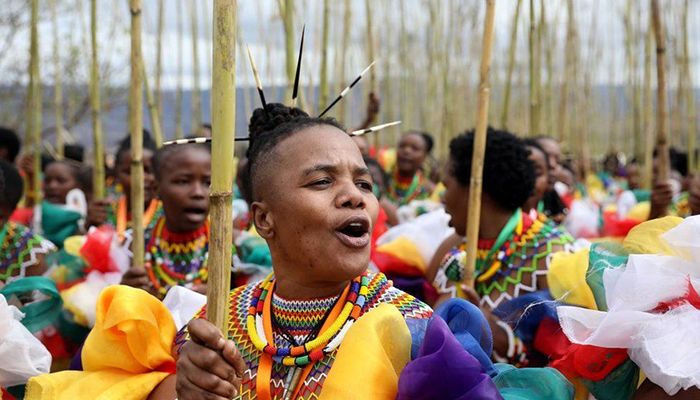  Zulu traditionalists held their annual Reed Dance ceremony at King Goodwill Zwelithini's Enyokeni Palace to promote old-fashioned family values to combat HIV/Aids and teenage pregnancies. Photo: BBC