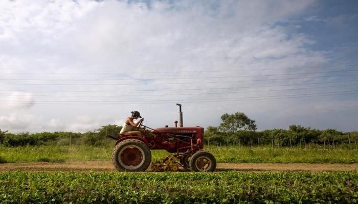 Climate Change Creates 'Frontier' Farmland