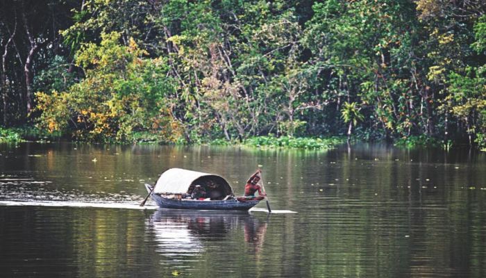2 'Forest Robbers' Held in Sundarbans