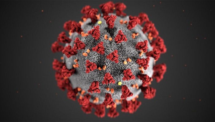 Coronavirus Strikes All SAARC Countries