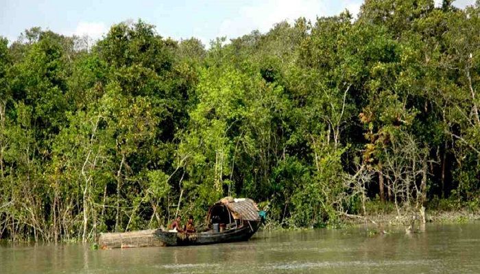 Tourist Gatherings Banned in Sundarbans