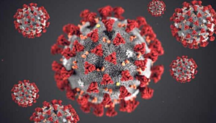 2 Bangladeshi Nationals Infected with Coronavirus in UAE