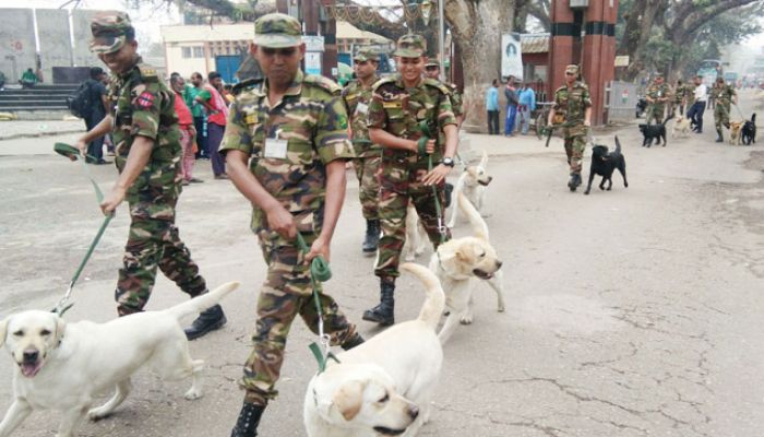 Army Gets 10 Trained Dogs from Its Indian Counterpart