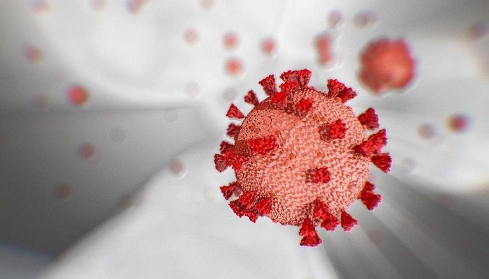 Coronavirus Death Toll Now 155, Cases Exceed 6,000