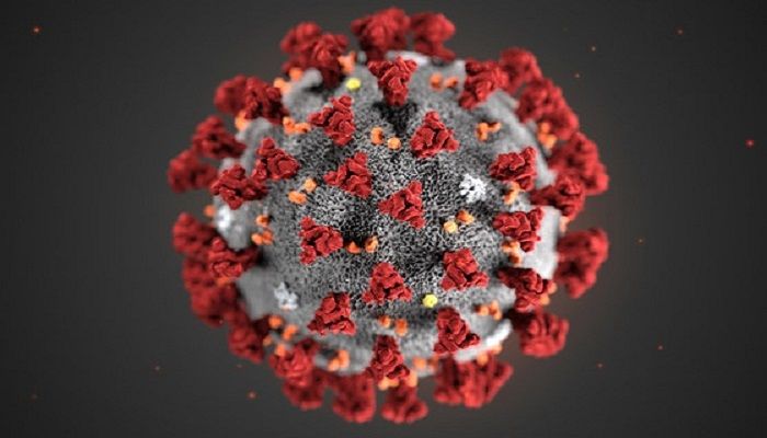 8 More Bangladeshis Die from Coronavirus in USA