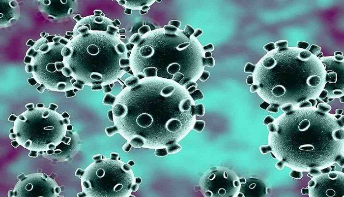 7 More Bangladeshis Die of Coronavirus in New York