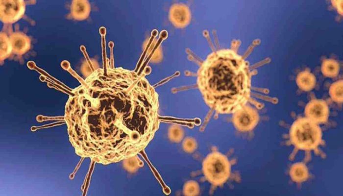 Coronavirus Cases Rise to 134 in Narsingdi