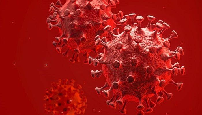 Antibody Effective at Blocking Coronavirus: Study