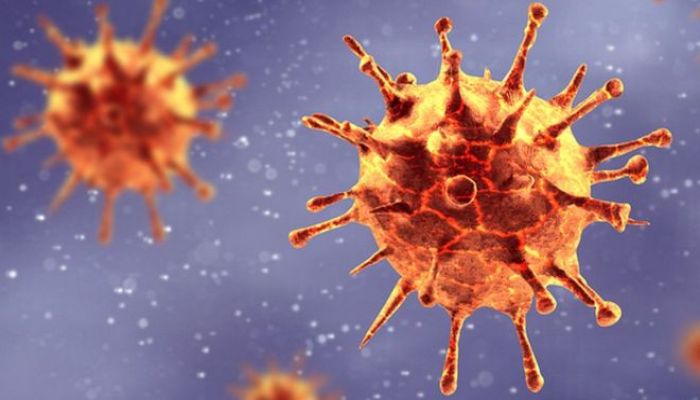 Coronavirus Mutations: Scientists Puzzle Over Impact 