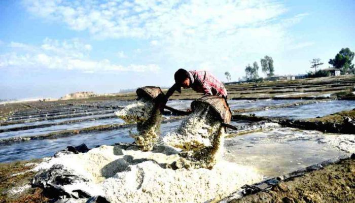 BSCIC Seeks Loan at 4 pc Interest for Salt Farmers