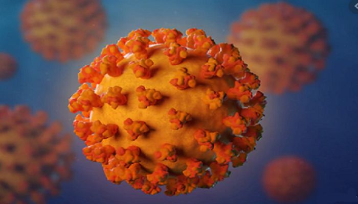 China Willfully Concealed Severity of Coronavirus: US