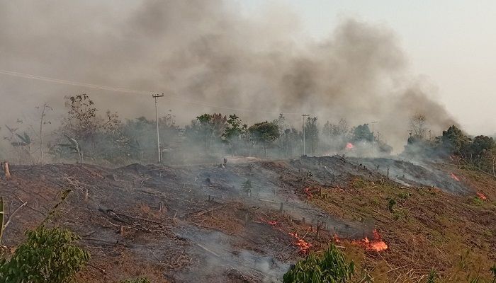 Jhum Fire Destroying Reserved Forest in Sajek