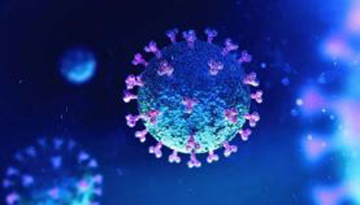 Coronavirus Cases in Bangladesh Reach 11719, 3 More Death