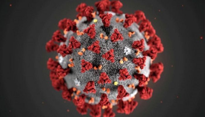 1 Dead, 786 Test Positive for Coronavirus in Last 24Hr