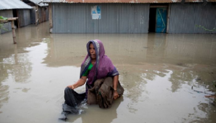Govt Asks DCs to Take Proper Steps to Address Flood