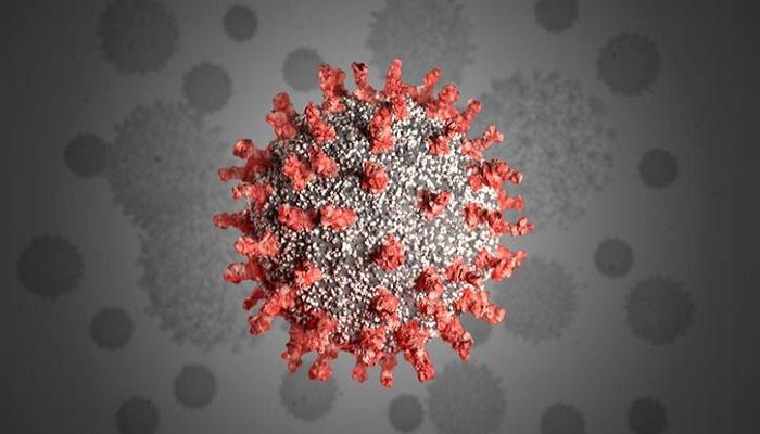 Coronavirus Deaths Exceed 900