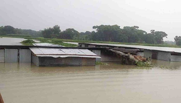 Tackling Flood Not Possible without Elected Govt: Gonoforum
