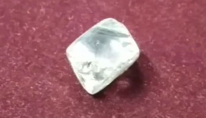 Nearly 11 Carat Diamond Worth Tk 50 Lakh Found in Madhya Pradesh Mine