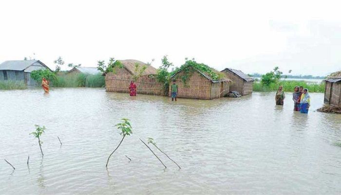 Flood Situation Remains Unchanged in Jamalpur
