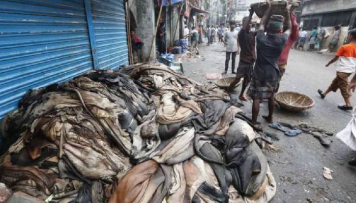 Govt Fixes Rawhide Price for Sacrificial Animals