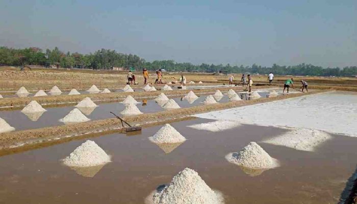 No Shortage of Salt for Preserving Rawhide: BSCIC