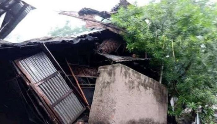 Mother, Sons Die As Tree Falls on Their House  