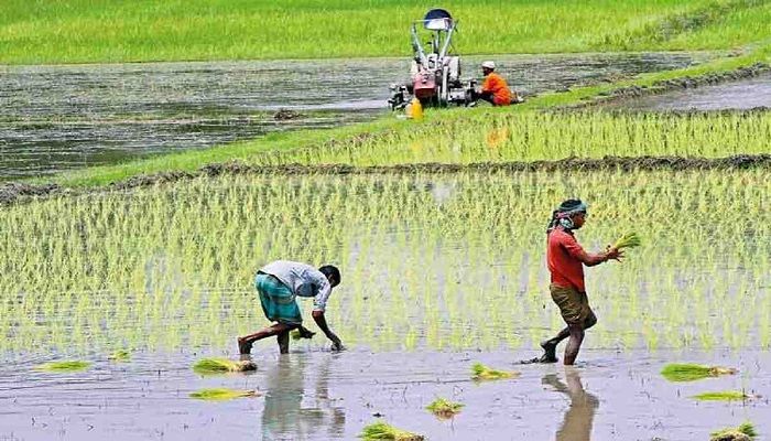 Govt to Focus on Agriculture to Revive Economy