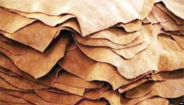 Bangladesh's Leather Industry Is at a Loss of $300mn 