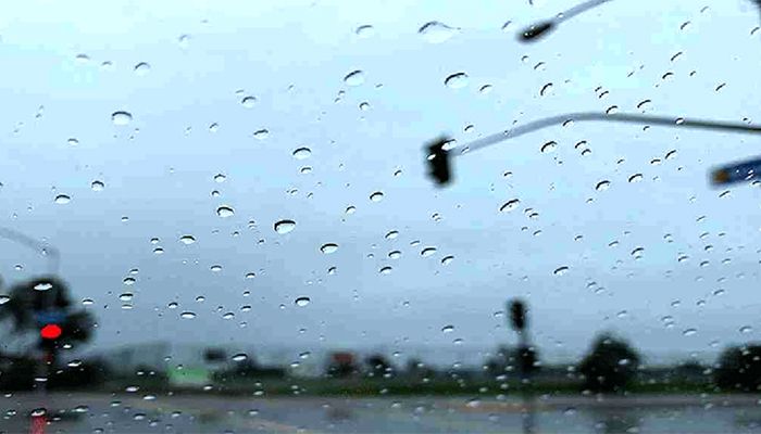 Light to Moderate Rain Likely