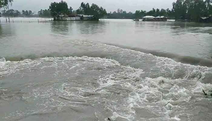 15,000ha Cropland Flooded in Kurigram  