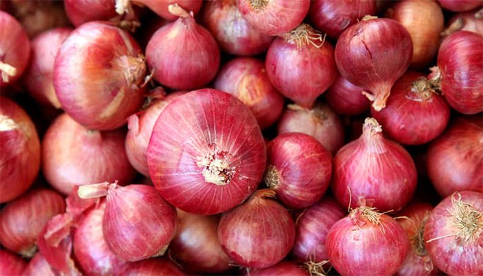 TCB Starts Online Onion Sale at Discount Rate