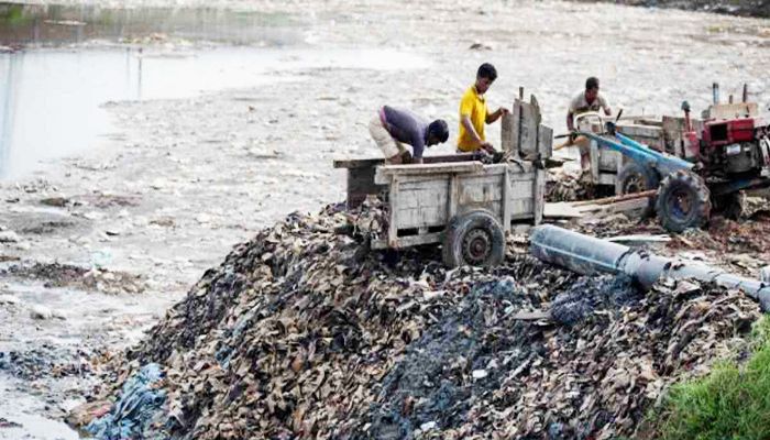 8 Savar Tanneries Fined for Polluting Environment