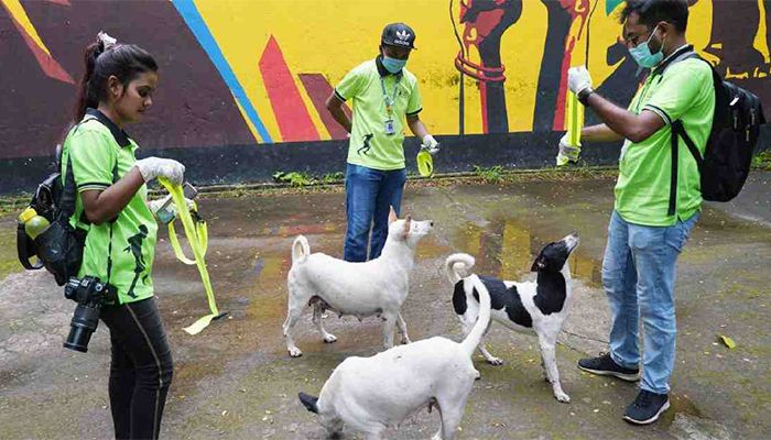 No Relocation of Stray Dogs for Now: Attorney General
