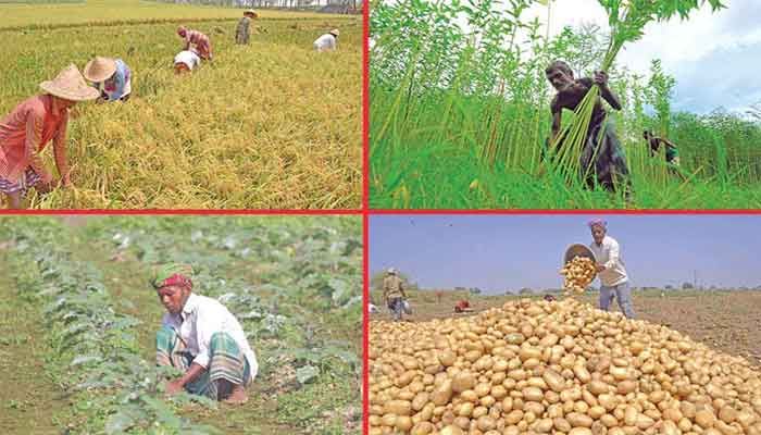 Govt Plans Tk 1.5trn Agri Investment in 5 Yrs    